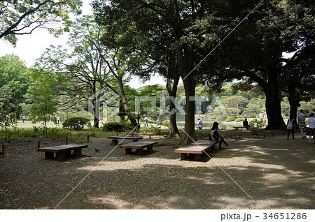 東京都文京区駒込　六義園出汐湊休憩所 34651286
