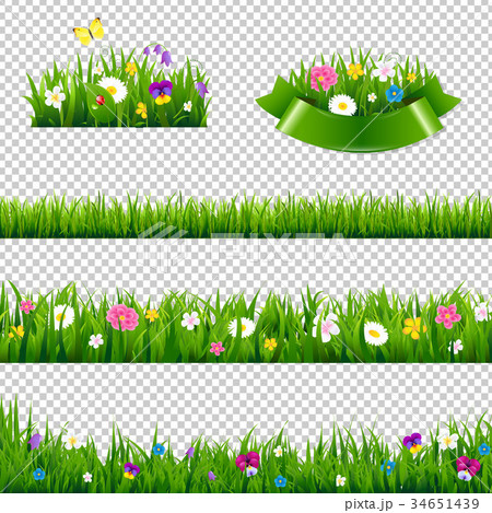 Flowers Borders Collection 34651439