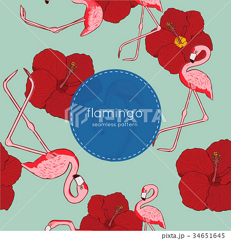 Vector seamless pattern with flamingo 34651645