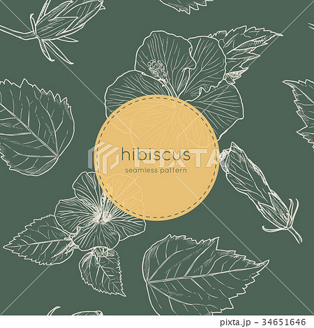 Hibiscus hand draw seamless pattern vector. 34651646