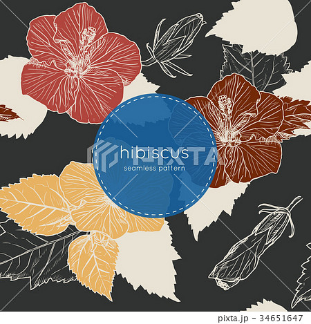 Hibiscus hand draw seamless pattern vector. 34651647
