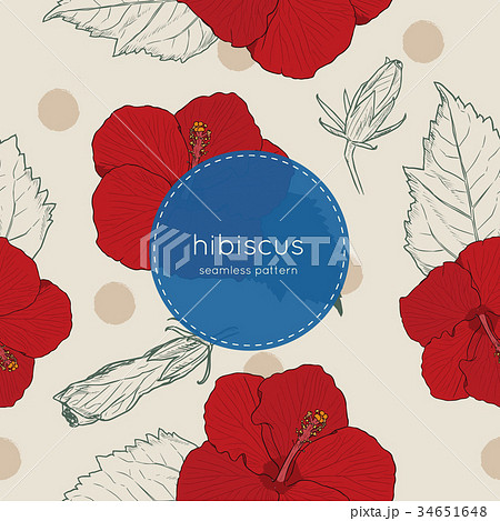 Hibiscus hand draw seamless pattern vector. 34651648