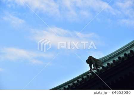 湯島聖堂屋根の鬼龍子 34652080