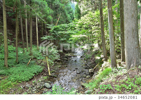 周山街道の沿道風景 34652081