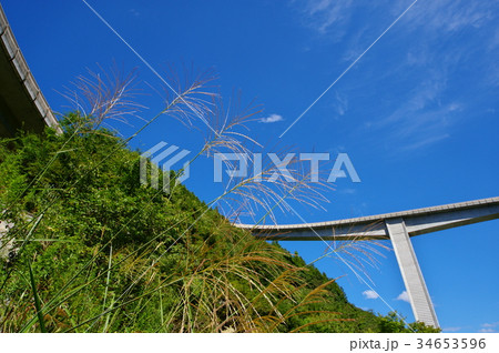 ススキ越しに見上げる青空とループ橋 奥秩父 雷電廿六木橋  34653596