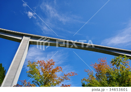 見上げる青空とループ橋 奥秩父 雷電廿六木橋　L-3 色付き始めたモミジ 34653601