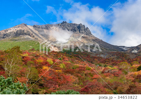 2017 茶臼岳　紅葉 34653822