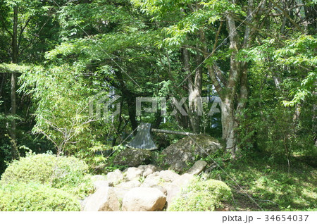 金時神社 まさかり 金時神社 まさかり 34654037