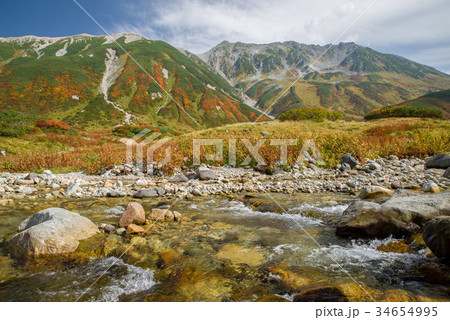雷鳥沢と立山（紅葉） 34654995