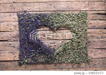Care Heart Concept Violet Sage Flowers Green Mint 34655377
