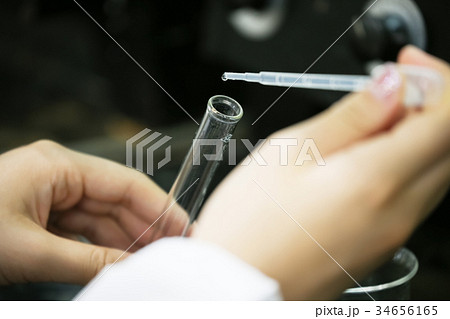 研究者　手元 34656165