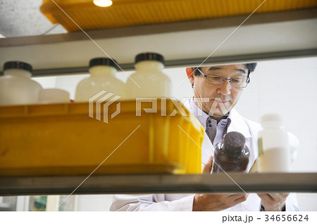 研究者 男性 研究者 男性 34656624