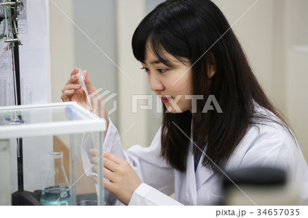 研究者 女性 研究者 女性 34657035
