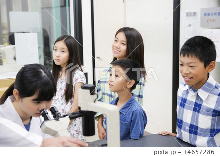 社会見学　小学生 34657286