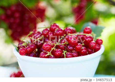 Close up of a bowl of red currant Close up of a bowl of red currant 34657513