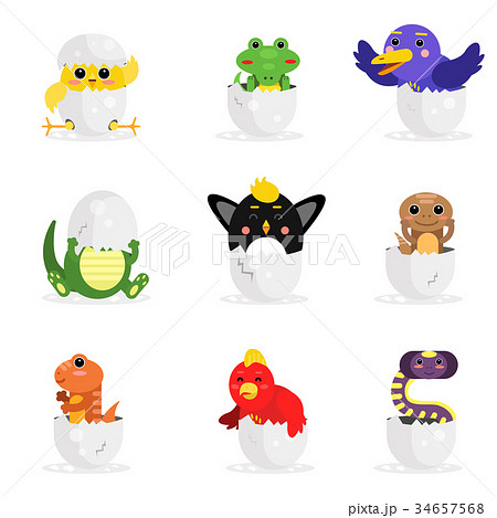 Cute Adorable Colorful Newborn Animal Charactersのイラスト素材