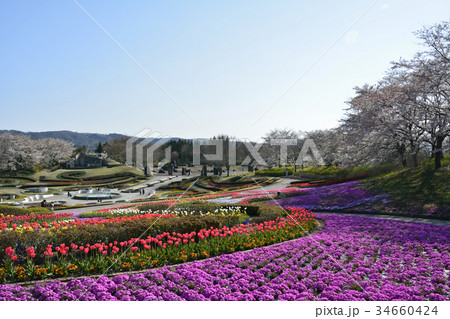 みちのく杜の湖畔公園の写真素材