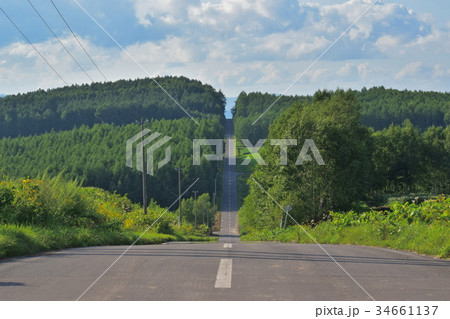 就実の丘 34661137