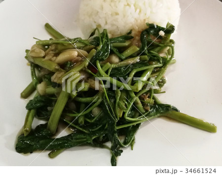 Stir Fried water mimosa served with rice Stir Fried water mimosa served with rice 34661524