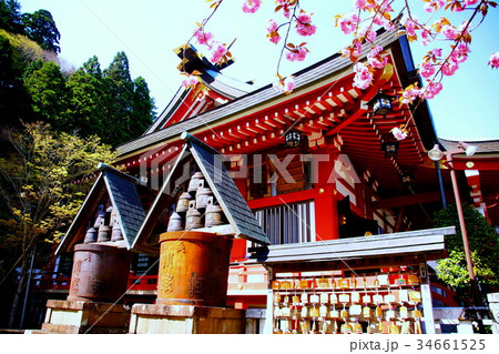 大山阿夫利神社 ・ 下社 拝殿 ( 雨降山 ) 神奈川県 伊勢原市 大山 大山阿夫利神社 ・ 下社 拝殿 ( 雨降山 ) 神奈川県 伊勢原市 大山 34661525