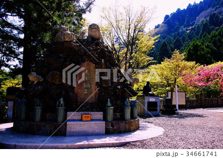 大山阿夫利神社 ・ 下社 獅子山 ( 雨降山 ) 神奈川県 伊勢原市 大山 大山阿夫利神社 ・ 下社 獅子山 ( 雨降山 ) 神奈川県 伊勢原市 大山 34661741