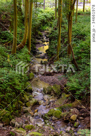 石見銀山 34661978