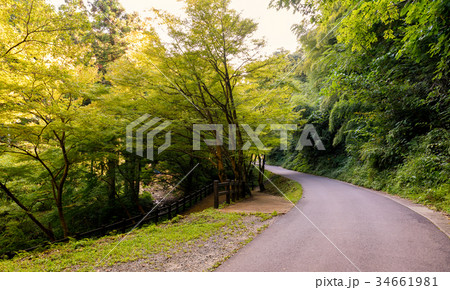 石見銀山 34661981