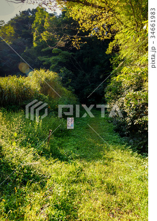 石見銀山 34661983