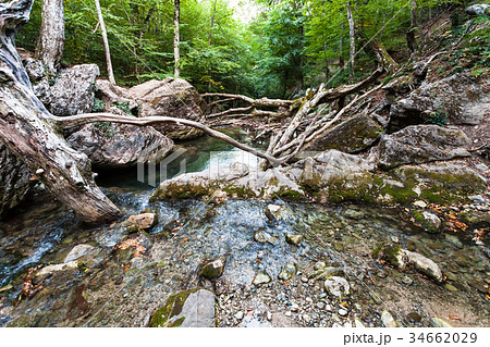 view of Ulu-Uzen river in Haphal Gorge in autumn 34662029