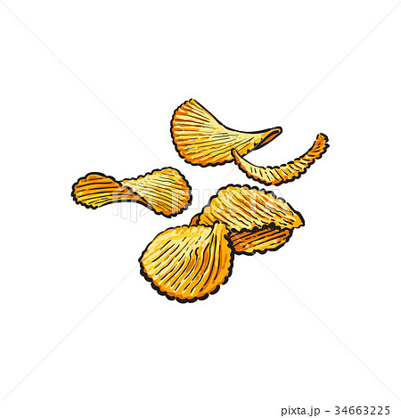 Hand drawn rifled potato chips vector illustration 34663225