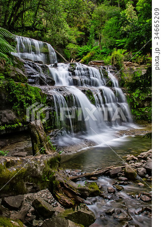 Liffey Falls State Reserve of Tasmania, Australia. 34665209