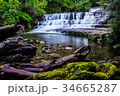 Liffey Falls State Reserve of Tasmania, Australia. 34665287