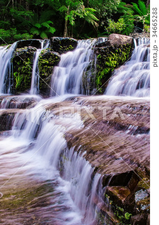 Liffey Falls State Reserve of Tasmania, Australia. 34665288