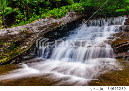 Liffey Falls State Reserve of Tasmania, Australia. 34665289