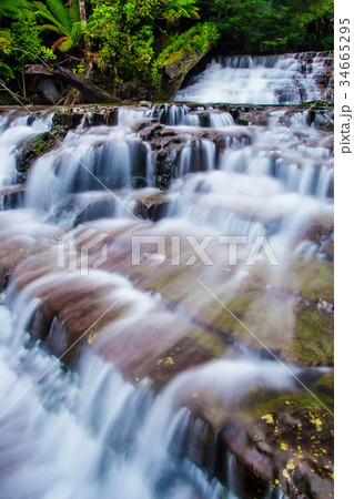Liffey Falls State Reserve of Tasmania, Australia. Liffey Falls State Reserve of Tasmania, Australia. 34665295