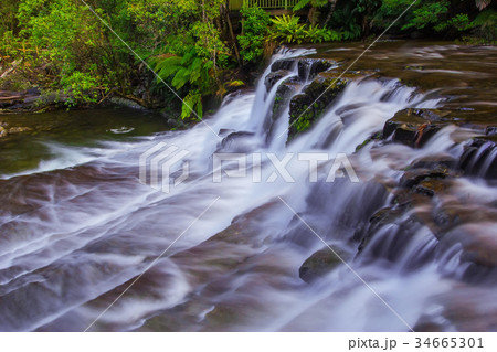 Liffey Falls State Reserve of Tasmania, Australia. 34665301