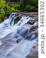 Liffey Falls State Reserve of Tasmania, Australia. 34665302