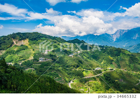 台湾 嘉義 阿里山 34665332