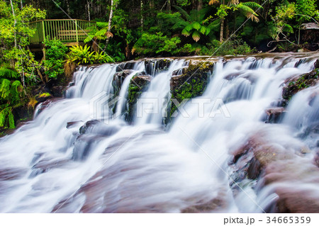 Liffey Falls State Reserve of Tasmania, Australia. Liffey Falls State Reserve of Tasmania, Australia. 34665359