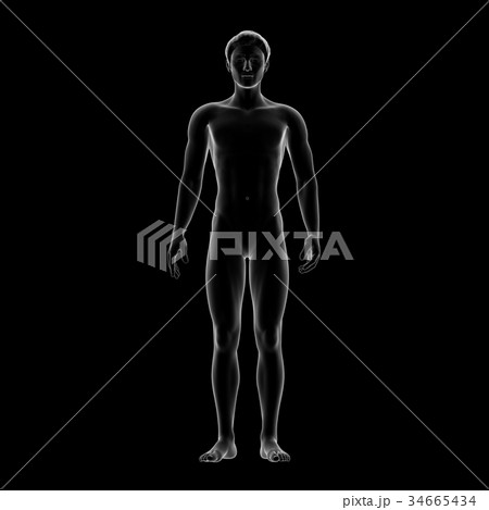 男性の体, ボディ 34665434