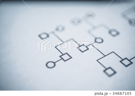 家系図 家系図 34667105