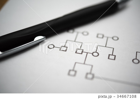 家系図 家系図 34667108