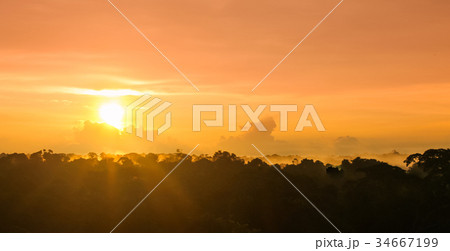 Sunset over rain forest by Amazon river in Brazil Sunset over rain forest by Amazon river in Brazil 34667199