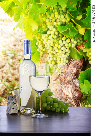 Glass of red wine 34667488