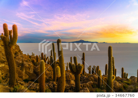 Sunset on Incahuasi island by Uyuni lake - Bolivia Sunset on Incahuasi island by Uyuni lake - Bolivia 34667760