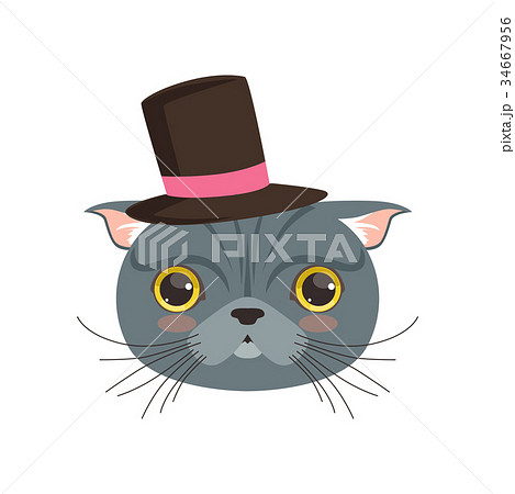 funny top hat