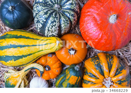 Pumpkins on hay background 34668229