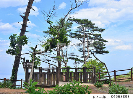 鵜の巣断崖-188473 34668893