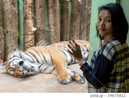 Woman in front of the cage with a tiger 34670832
