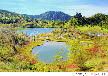 紅葉の弓池園地 34671011